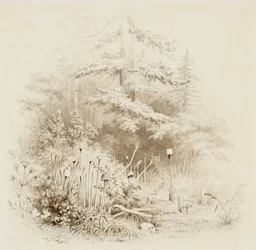 Indian Burial Place, Oregon, 1841